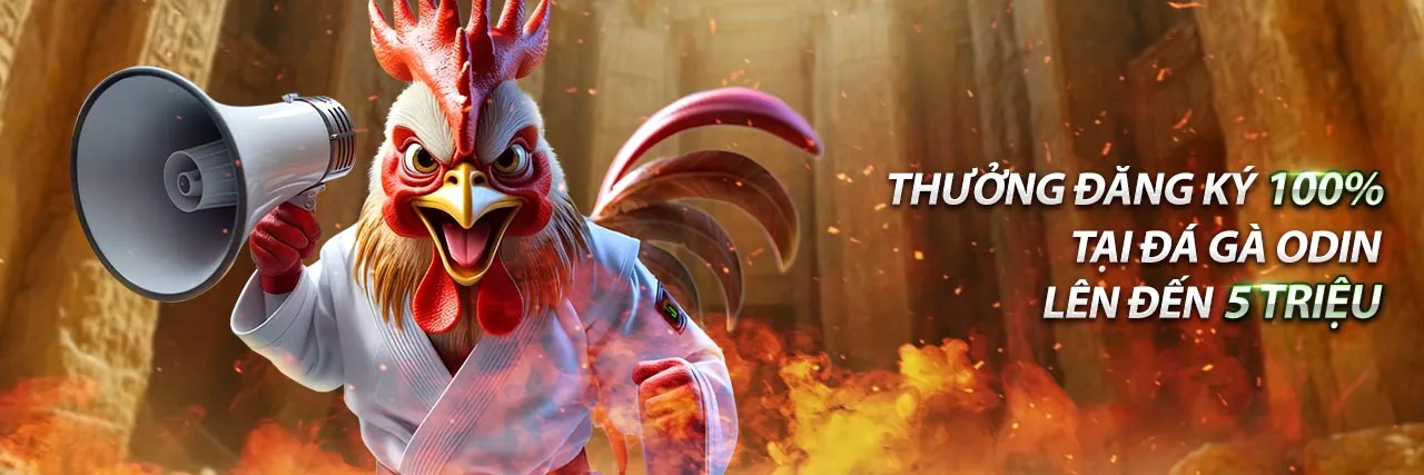 Ưu điểm tỷ lệ cược cao 8ket bet