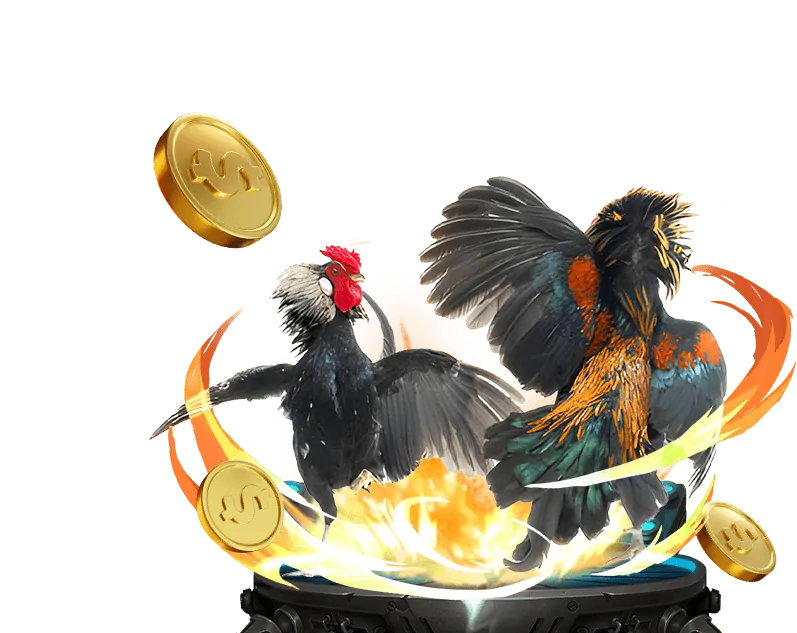 Hình ảnh thưởng đá gà 8ket bet